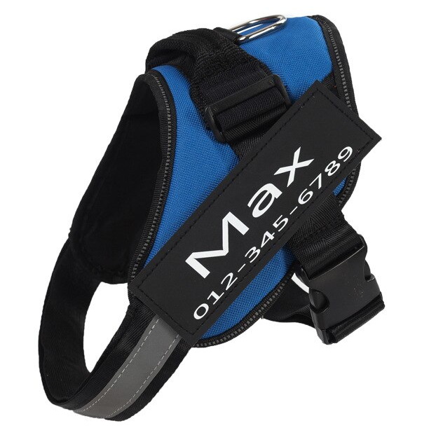 Personalized No-Pull Harness