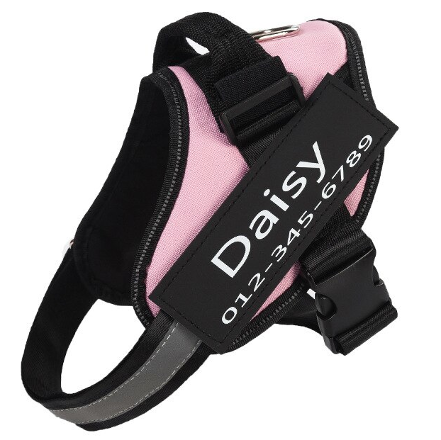 Personalized No-Pull Harness